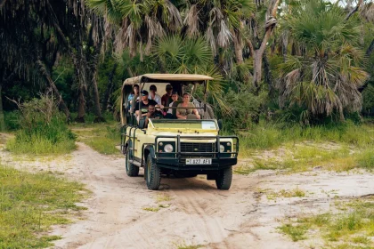 Jeeps Are the Ultimate Vehicle for San Diego’s Diverse Terrain and Lifestyle